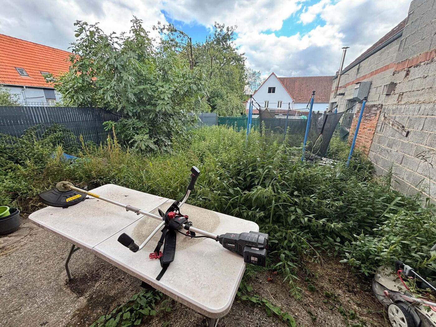 Jardin envahi par les herbes hautes avant débroussaillage